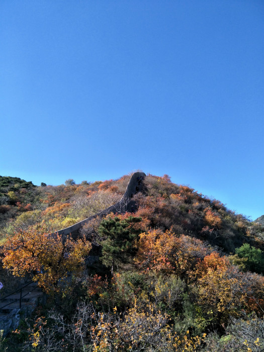 百家乐棋牌