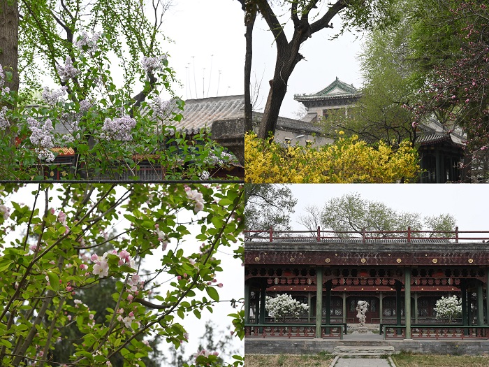 百家乐棋牌