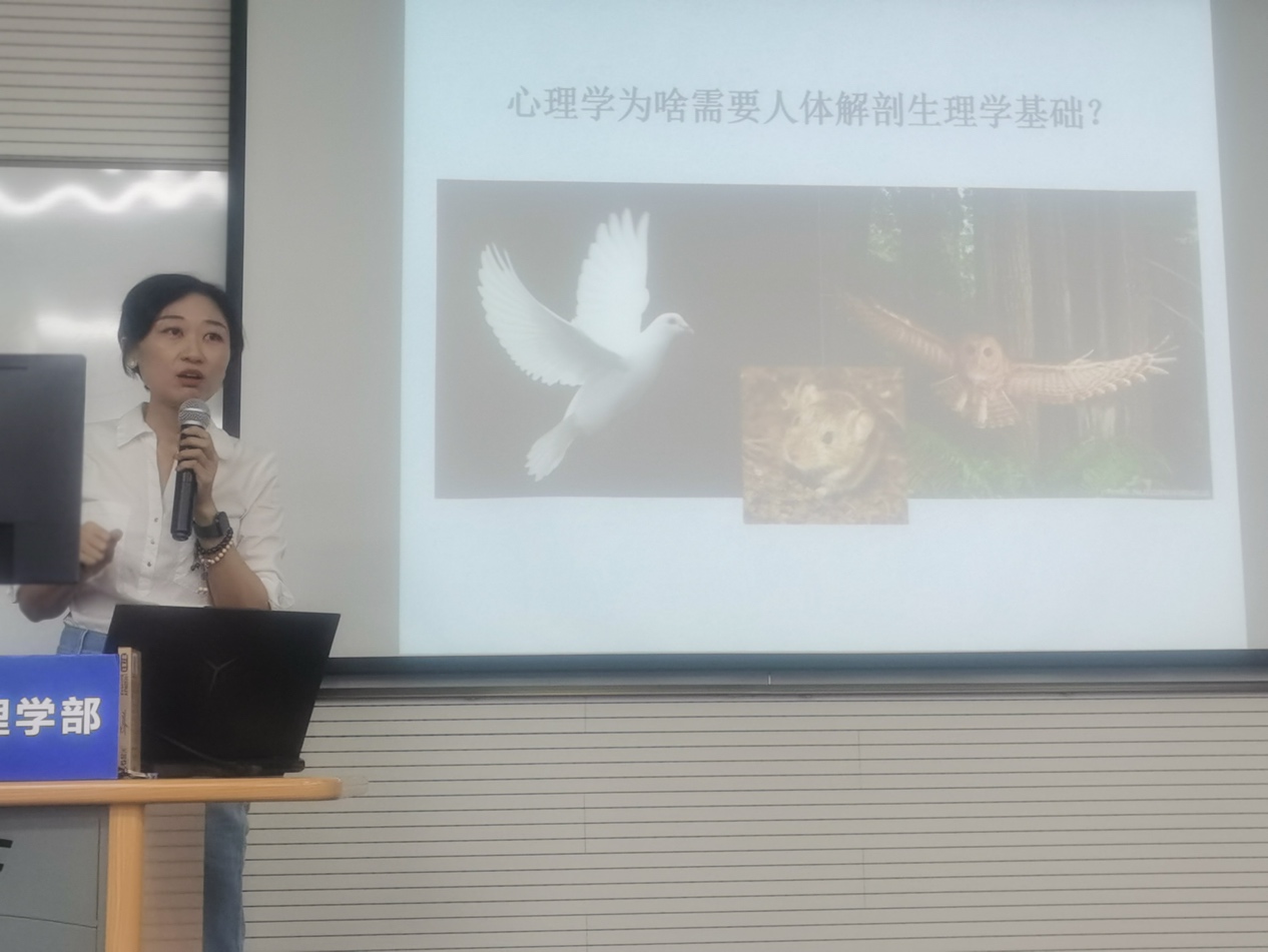 百家乐棋牌