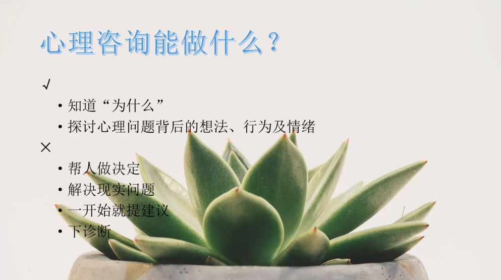 百家乐棋牌
