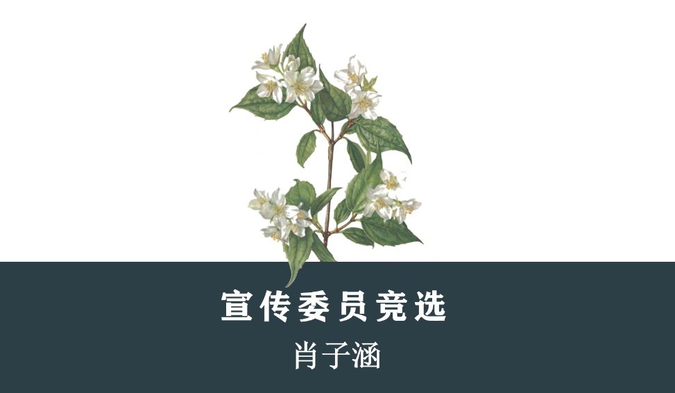 百家乐棋牌
